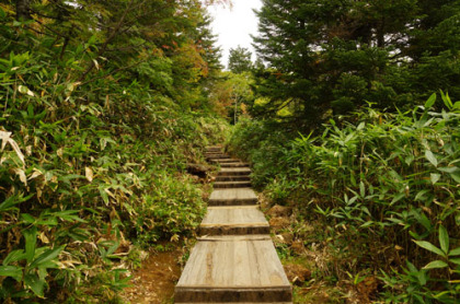 沼山峠の登り道は全て木道。