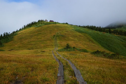 駒ヶ岳の山頂下には草原風の風景が広がっている。一部は湿地となっている。