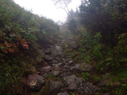 山頂に近づくと、土石流跡から離れて、本来の登山道に入るが、岩の道なので余代わり映えはしない。