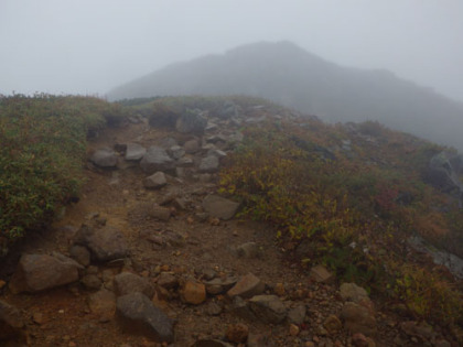 柴安グラの山頂下の登り道。ハイマツ帯となっている。