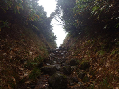 ナデッ窪の下り道。雨水の浸食が激しいらしく、深くえぐられている箇所が多く見られた。