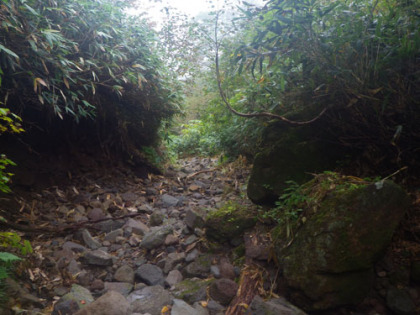 岩だらけの道で、岩になれた登山者で無いと苦労するかもしれない。