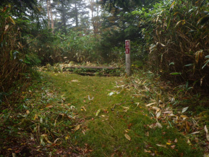 皿伏山の山頂。名前の通り、皿を伏せた様ななだらかな斜面を持つ山だった。