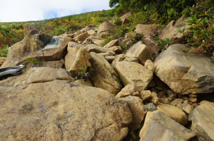 茶色い岩が蛇紋岩。クサリが垂れている箇所もあるが、岩場に慣れた登山者が登るには、クサリは足に絡みついたりするのでかえって危険だ。