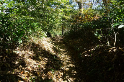 鳩待峠に下る道の大半は木道だが、一部岩の道がある。