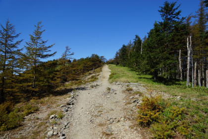 小雲取から雲取山にかけての稜線の道は眺望がある。