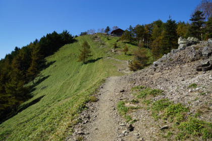 雲取山への最後の登り道。