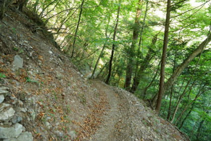 三条の湯から後山林道まで30分ほどの歩道を歩く。途中で工事を行っていた。