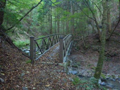 丹波山登山口から藤ダワまでは遊歩道。