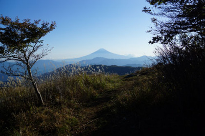 湯ノ沢峠に下る坂道は笹原で眺望が良い。