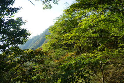 夏を思わせるほど濃い緑の山々が見られた。