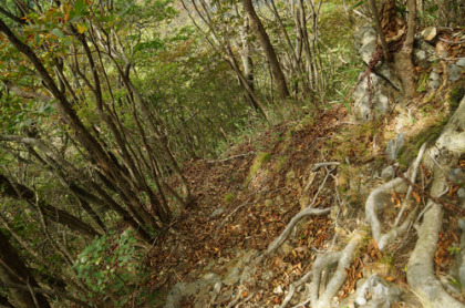お坊山から笹子雁ヶ原摺山まで、岩場が多くある。