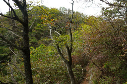 小さく嶮岨なピークを登っては下る道が続く。