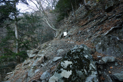 天祖山登山道は、登山口から尾根に取り付くまでは、嶮岨な道だった。