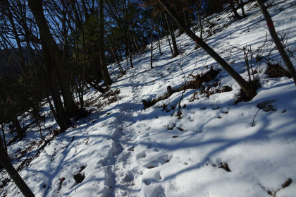 尾根の上に出ると、断続的に積雪が見られる。