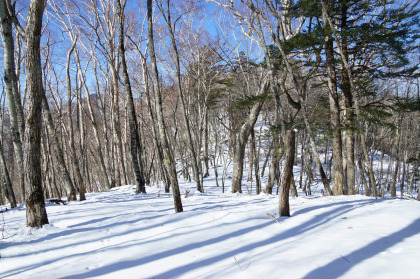 山頂の北の稜線には踏み跡が無かった。久しぶりで新雪の上に足跡をつける。