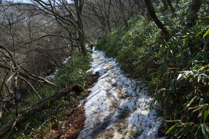 男体山の北斜面の小径は残雪がたっぷりと残っていました。