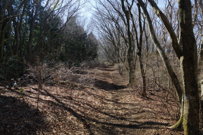 筑波高原キャンプ場からの登り道は直線が多く、標高差も少ないので比較的楽な道です。