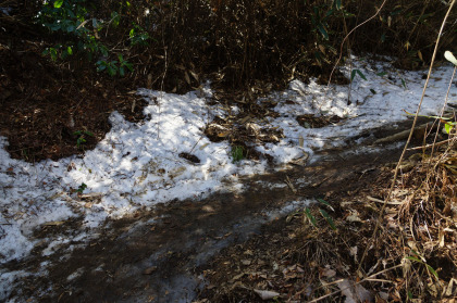 山頂下はまだ残雪がありましたが、アイゼンの必要はありませんでした。