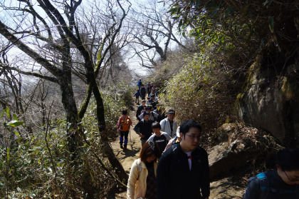 女体山を越えて弁慶茶屋の分岐に下りはじめると、ハイカーがあちこちで登山渋滞を引き起こしていました。