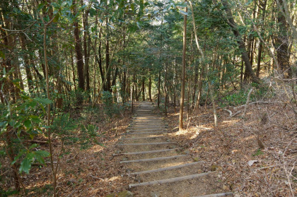 男体山を越えて、薬王院登山口に下ります。登る時はさほどに気になりませんでしたが、下ると強烈な急勾配の階段であることが分かります。