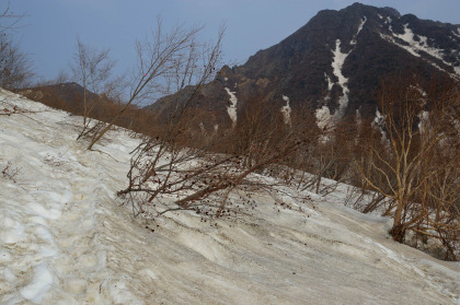 中の茶屋跡手前の灌木地帯の残雪はだいぶ融けていました。