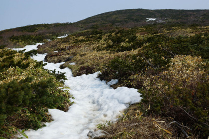 清水平の木道の無い登山道は、残雪が残っていますが、空洞の上の雪が薄くなっていて簡単に踏み抜きます。
