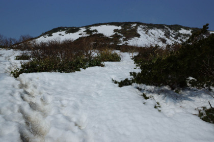 三本槍ヶ岳の登り斜面の雪もだいぶ減ってきていました。