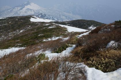 三本槍ヶ岳から甲子分岐までの尾根の上は、雪が疎らに残っていました。