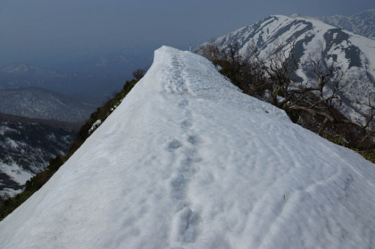 雪のヤセ尾根。数日前に歩いたらしい登山者の足跡が残されていました。