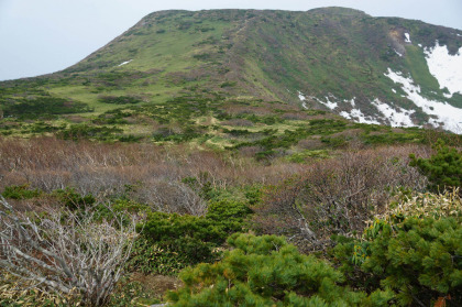 三本槍ヶ岳の斜面。右、急斜面沿いに登山道が延びています。
