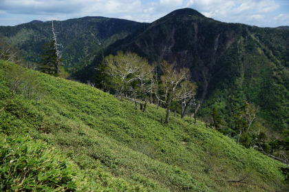 金精道路越しに温泉ヶ岳の稜線が見られる。