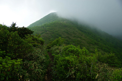 三本槍ヶ岳に登る手前で雲が湧いてきて視界を遮ってしまった。