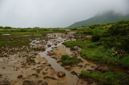 清水平も廻りは雲で隠されていた。