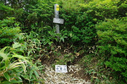 白笹山の山頂。樹木に覆われていて眺望はありませんでした。