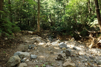 土石流の跡をたどる区間。