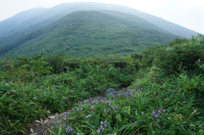 大峠の手前で雲が少しだけ晴れて流石山の斜面が見られました。