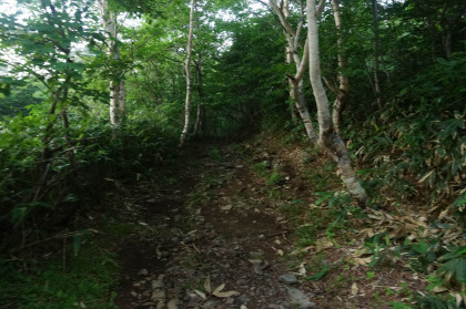 大峠から下郷町側に下ります。踏み跡が複数あって分かりにくい道になっていました。