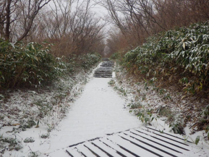 大丸温泉から峠の茶屋県営駐車場への遊歩道。復路には殆ど雪は解けていました。