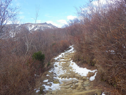 峠の茶屋からの登り道は斑に雪が残っていました。