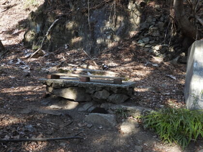 ベンチ、最初の休憩を取りました。