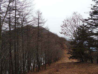 日の出頃、まだ降雪はありませんでした