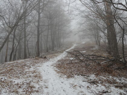鷹ノ巣山の登り、雪が積もり始めました