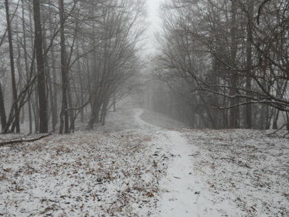 積雪が厚みを増してきました