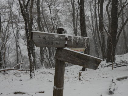 三ノ木戸林道との分岐