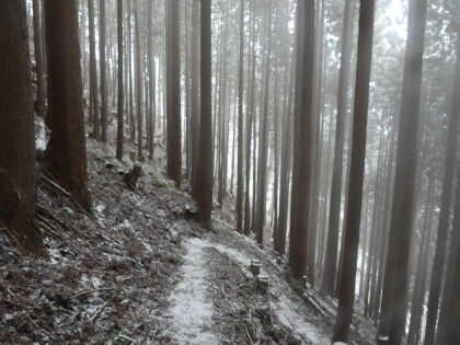急坂をジグザグを切って降ります。