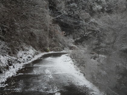 舗装林道歩きが1時間以上続きます