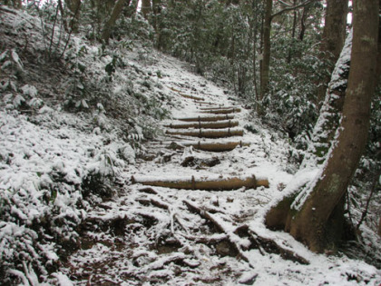 木製の階段の登り道