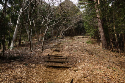 尾根の上に出る