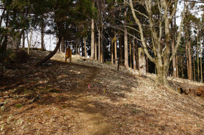 小仏城山側の終点